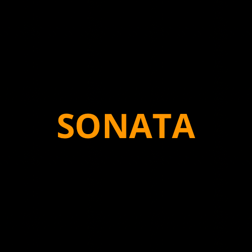 Hyundai Sonata Screen ProTech Kit