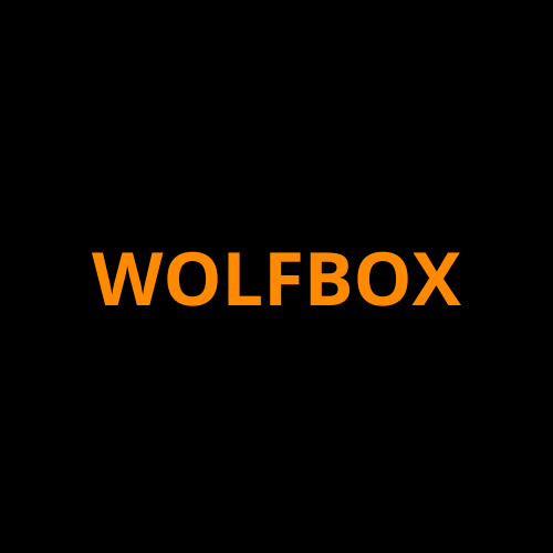 Wolfbox Screen ProTech Kit