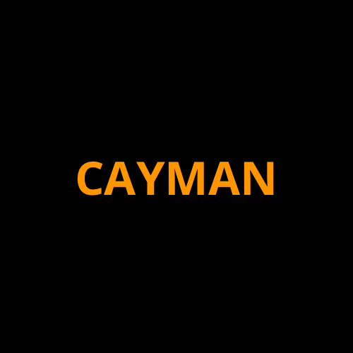 Porsche Cayman Screen ProTech Kit