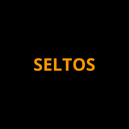 KIA Seltos Screen ProTech Kit