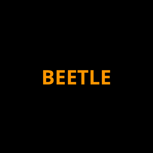 VW Beetle Screen ProTech Kit