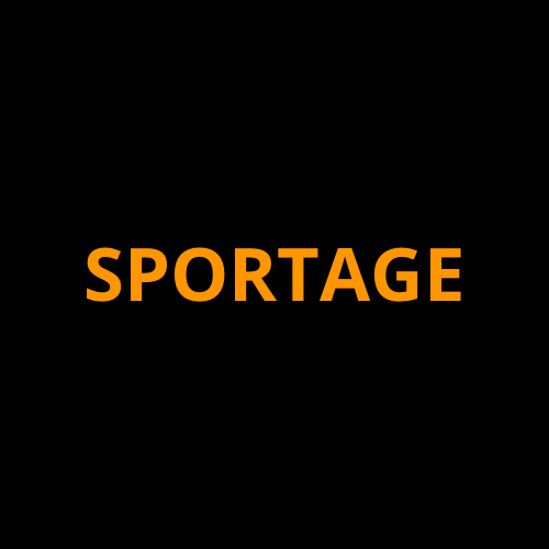 KIA Sportage Screen ProTech Kit