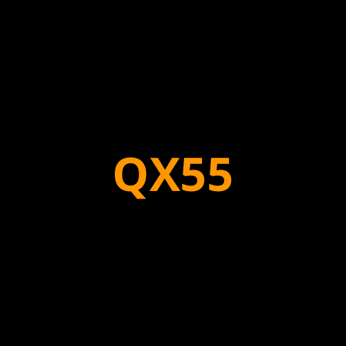 Infiniti QX55 Screen ProTech Kit