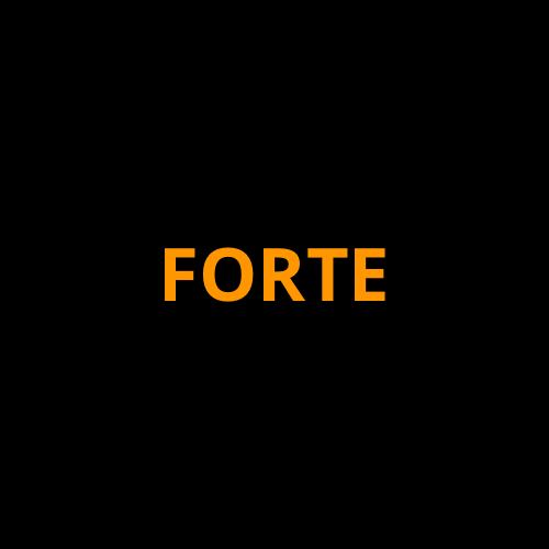 KIA Forte Screen ProTech Kit
